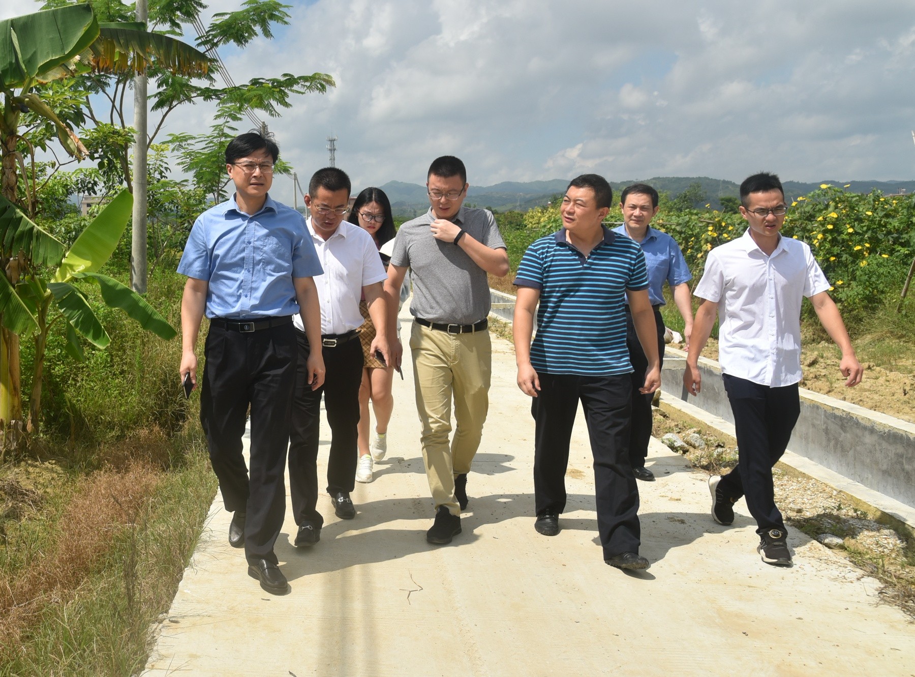 1562111042171502.jpg 1562111042171502.jpg