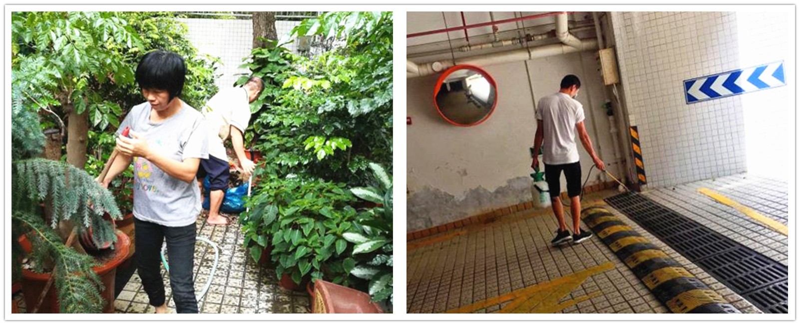 1566525672767257.jpg 1566525672767257.jpg